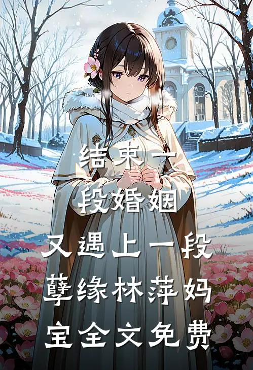 结束一段婚姻，又遇上一段孽缘林萍妈宝全文免费