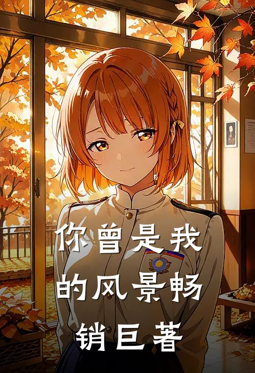 你曾是我的风景畅销巨著