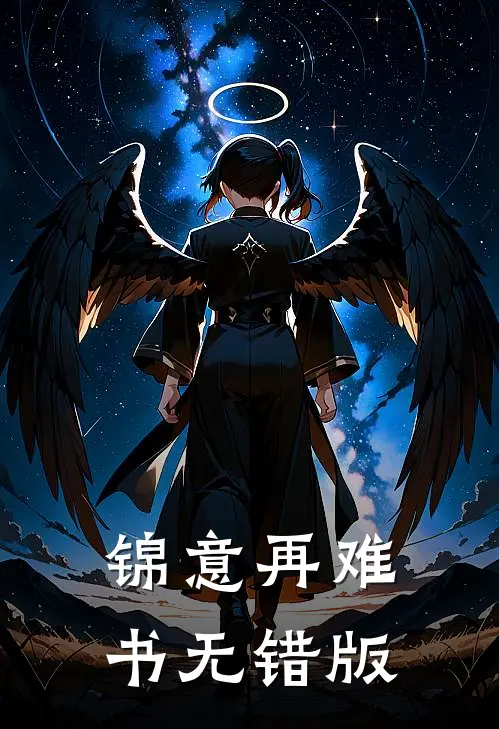 锦意再难书无错版