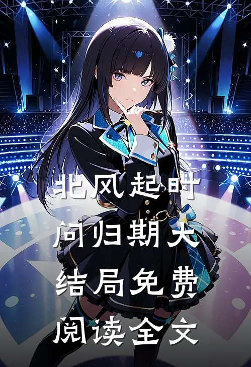 北风起时问归期大结局免费阅读全文