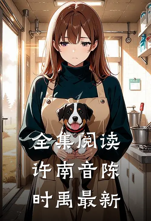 全集阅读许南音陈时禹最新