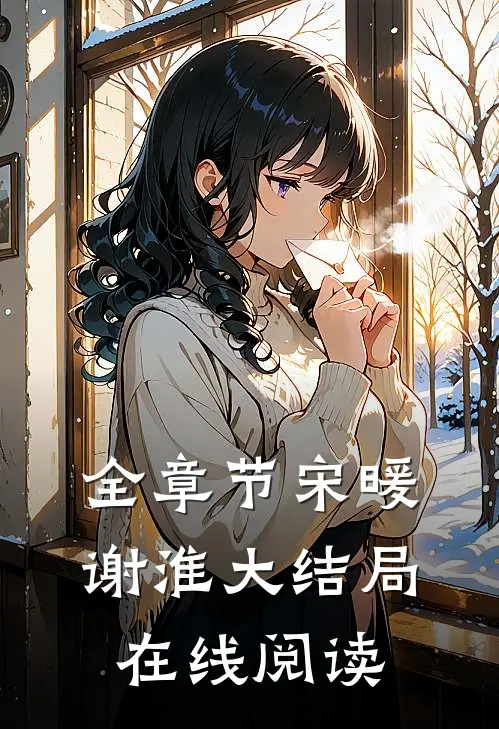 全章节宋暖谢淮大结局在线阅读