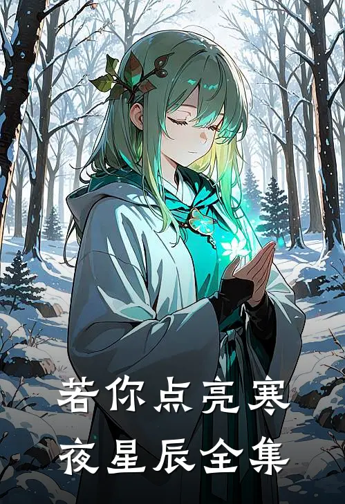 若你点亮寒夜星辰全集