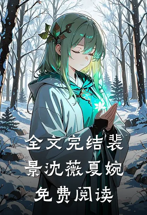 全文完结裴景沈薇夏婉免费阅读