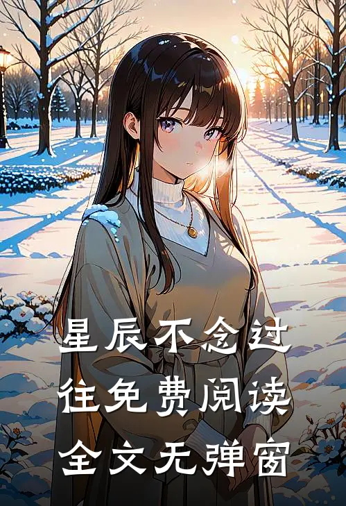 星辰不念过往免费阅读全文无弹窗