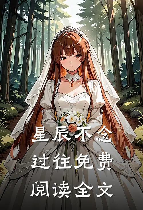 星辰不念过往免费阅读全文