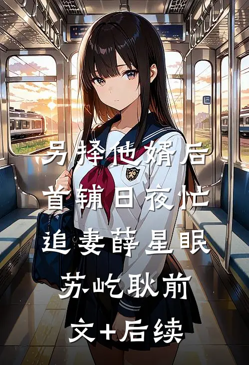 另择他婿后，首辅日夜忙追妻薛星眠苏屹耿前文+后续