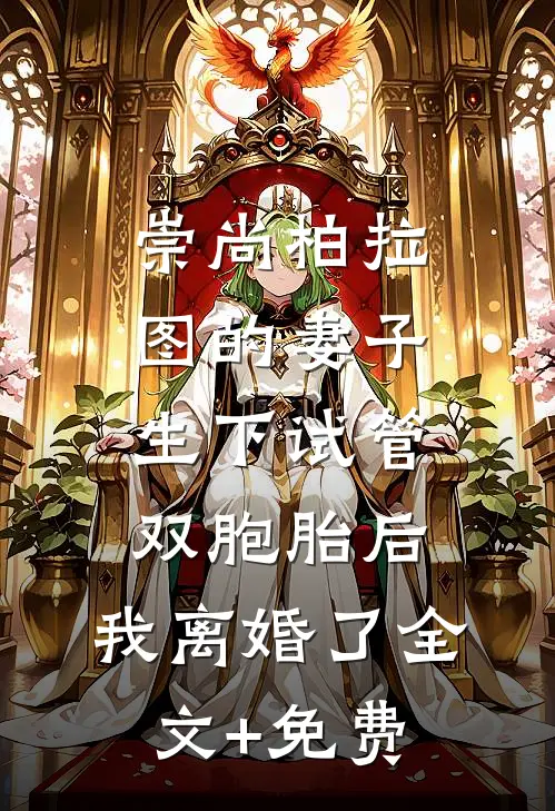 崇尚柏拉图的妻子生下试管双胞胎后，我离婚了全文+免费