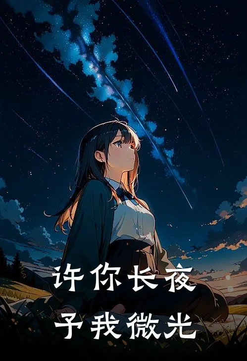 许你长夜,予我微光免费阅读