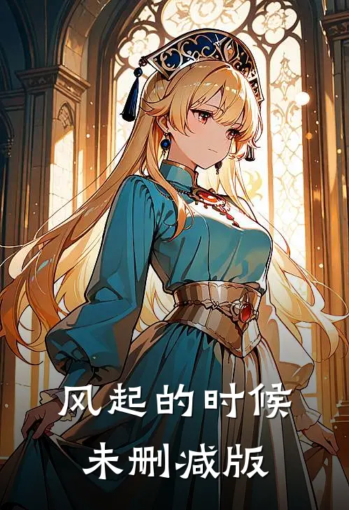 风起的时候未删减版