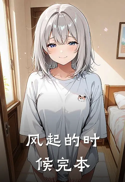 风起的时候完本