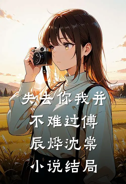 失去你我并不难过傅辰烨沈棠小说结局