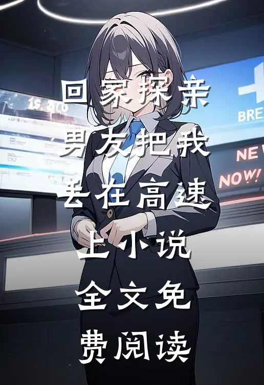 回家探亲，男友把我丢在高速上小说全文免费阅读