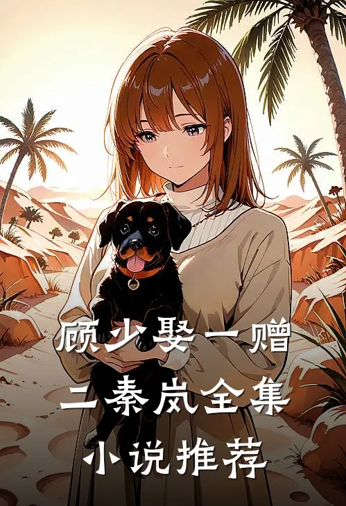 顾少娶一赠二秦岚全集小说推荐
