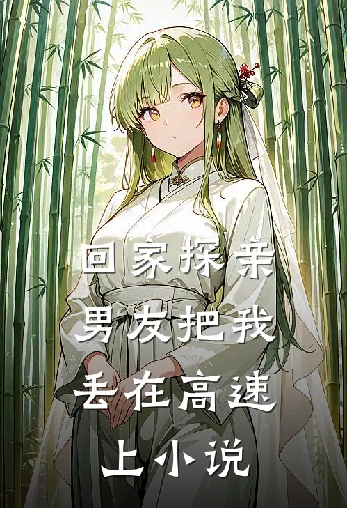 回家探亲，男友把我丢在高速上小说