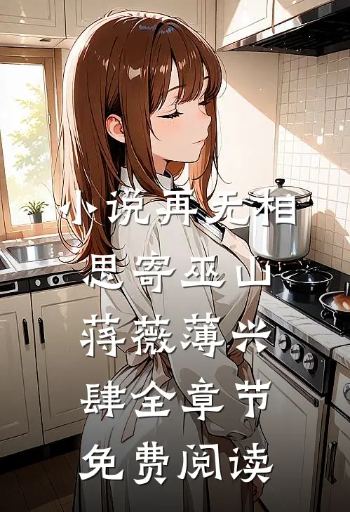 小说再无相思寄巫山蒋薇薄兴肆全章节免费阅读