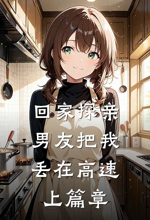 回家探亲，男友把我丢在高速上篇章