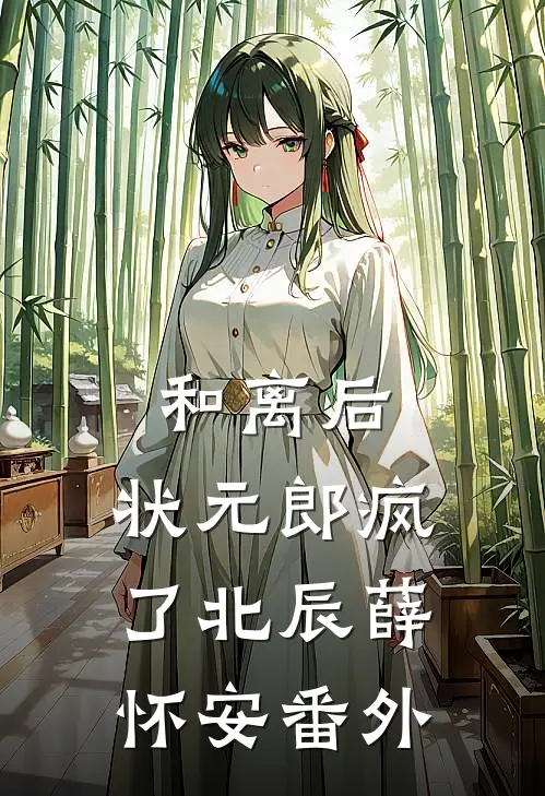 和离后，状元郎疯了北辰薛怀安 番外