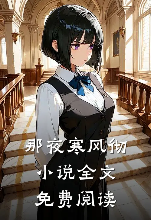 那夜寒风彻小说全文免费阅读