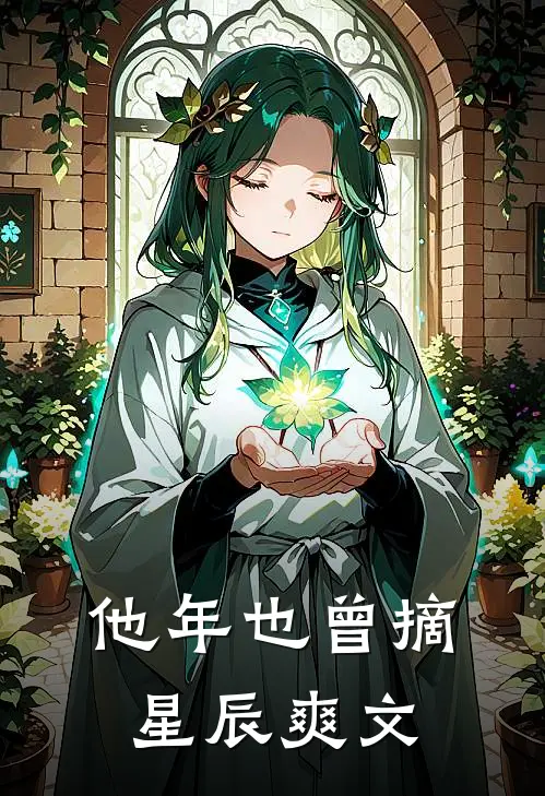 他年也曾摘星辰爽文