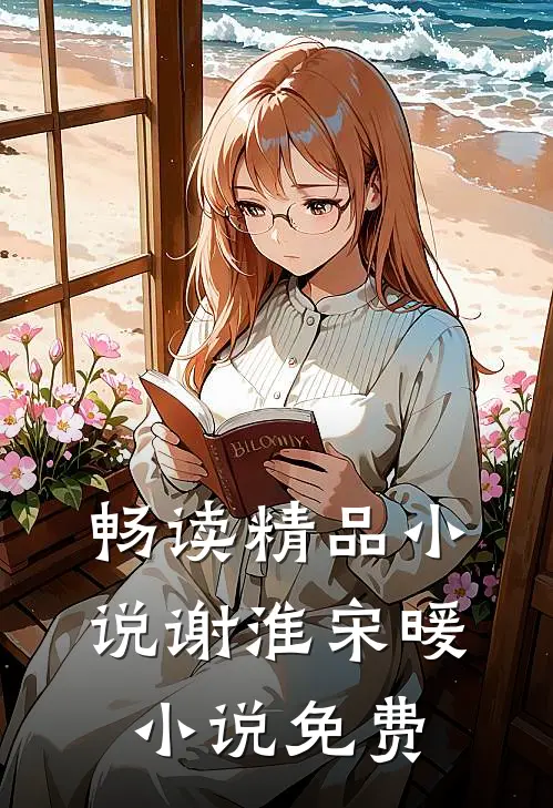 畅读精品小说谢淮宋暖小说免费