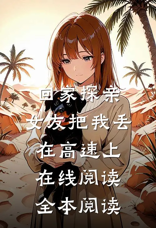 回家探亲，女友把我丢在高速上在线阅读全本阅读