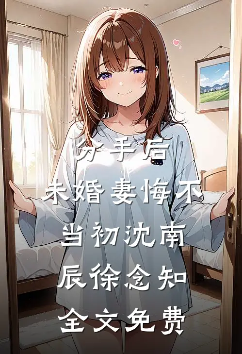 分手后，未婚妻悔不当初沈南辰徐念知全文免费