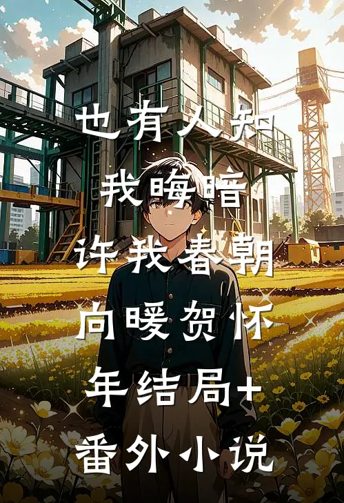 也有人知我晦暗，许我春朝向暖贺怀年结局+番外小说