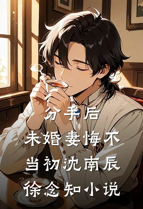分手后，未婚妻悔不当初沈南辰徐念知小说