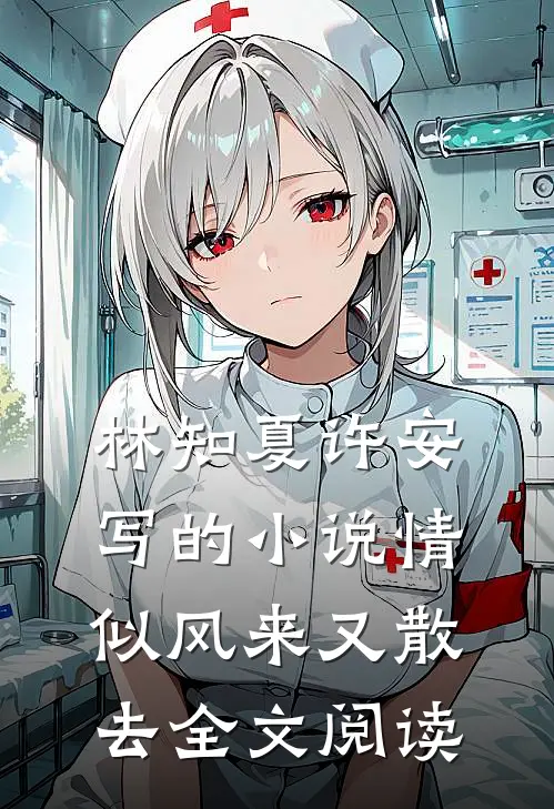 林知夏许安写的小说情似风来又散去全文阅读