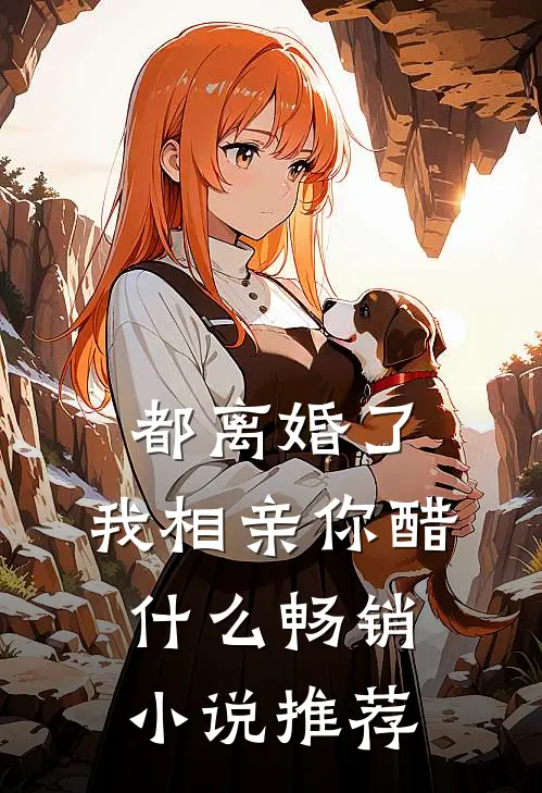 都离婚了，我相亲你醋什么畅销小说推荐