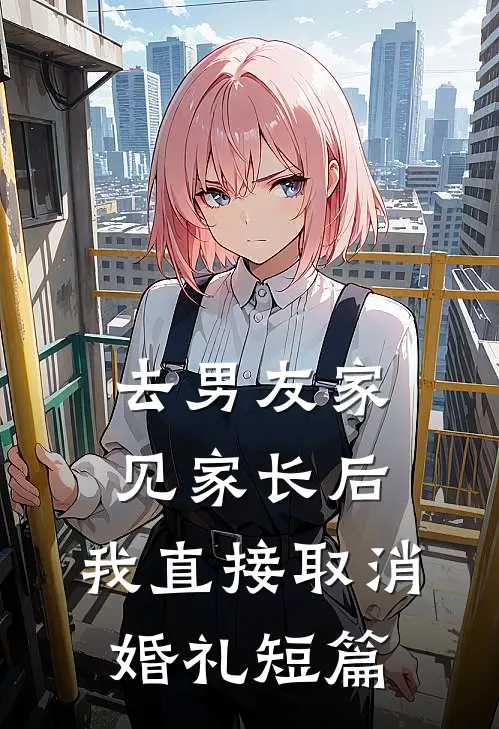去男友家见家长后，我直接取消婚礼短篇