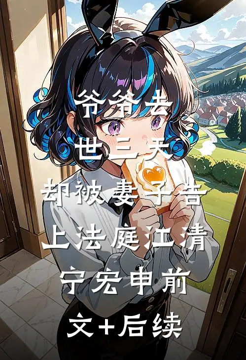 爷爷去世三天，却被妻子告上法庭江清宁宏申前文+后续