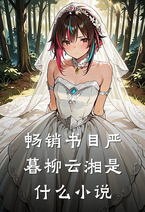 畅销书目严暮柳云湘是什么小说