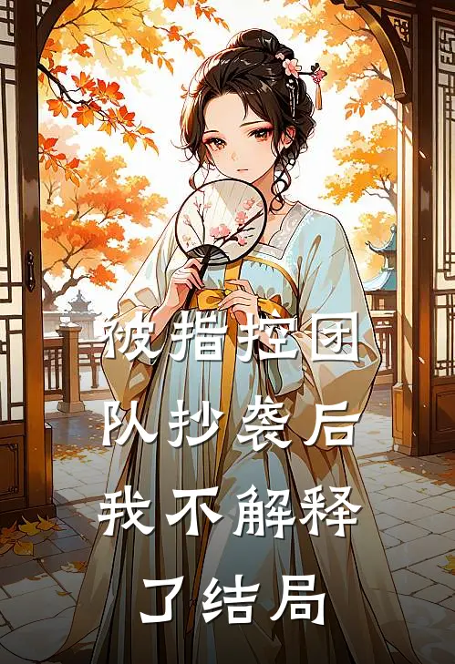 被指控团队抄袭后，我不解释了结局