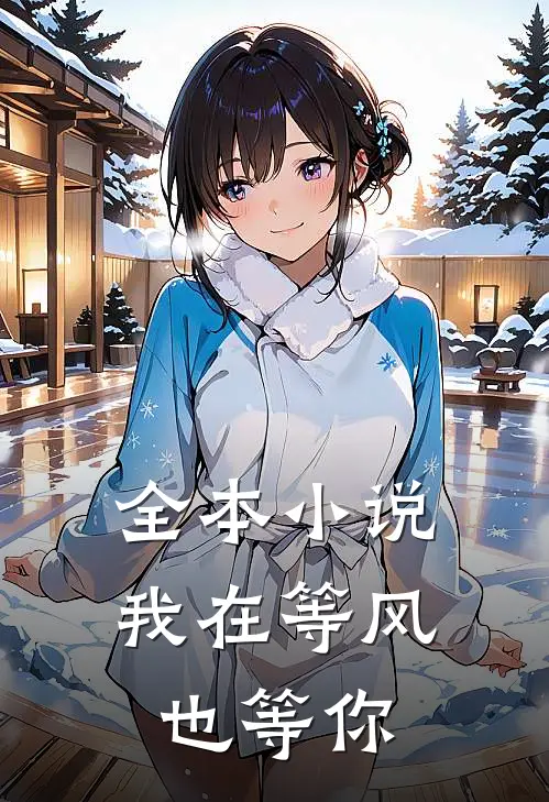 全本小说我在等风，也等你
