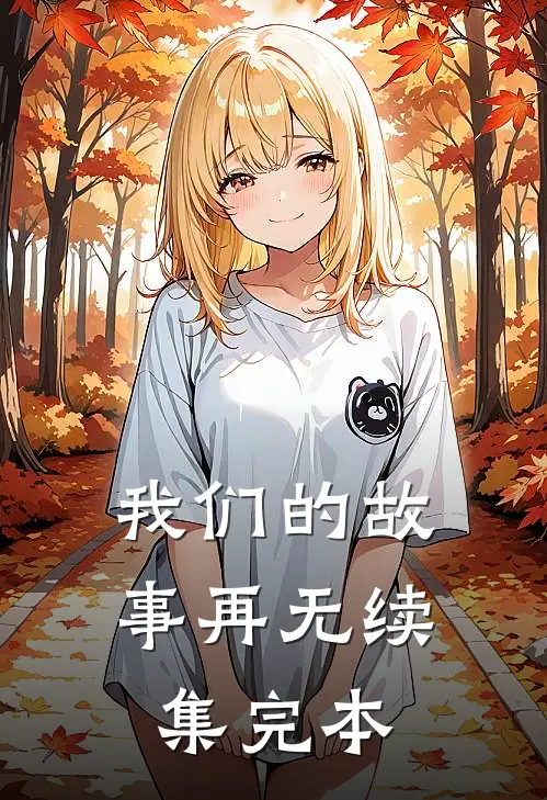 我们的故事再无续集完本