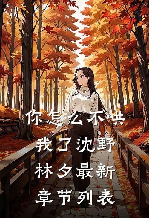 你怎么不哄我了沈野林夕最新章节列表