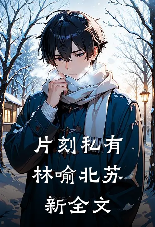 片刻私有林喻北苏新全文