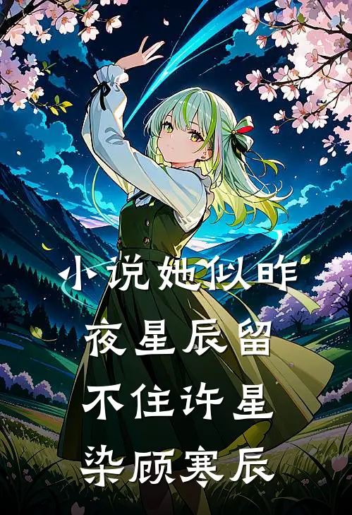 小说她似昨夜星辰留不住(许星染顾寒辰)