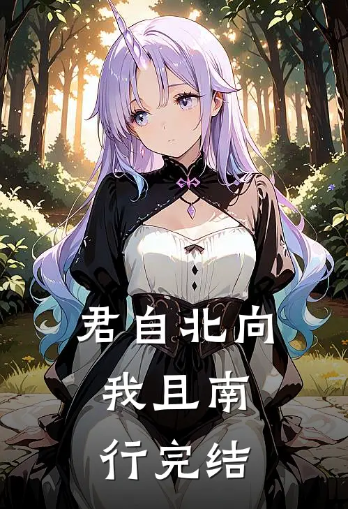 君自北向,我且南行完结