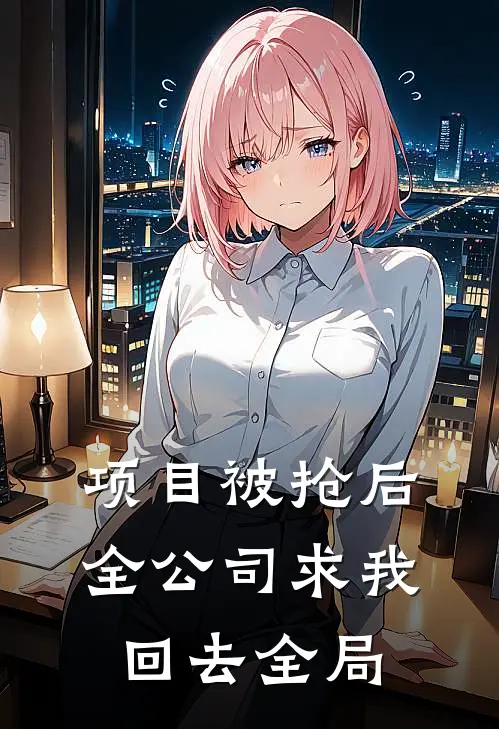 项目被抢后全公司求我回去全局