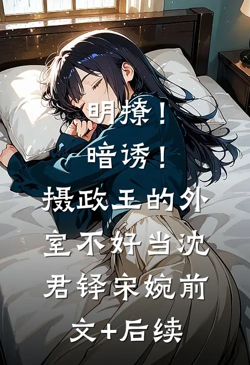 明撩！暗诱！摄政王的外室不好当沈君铎宋婉前文+后续