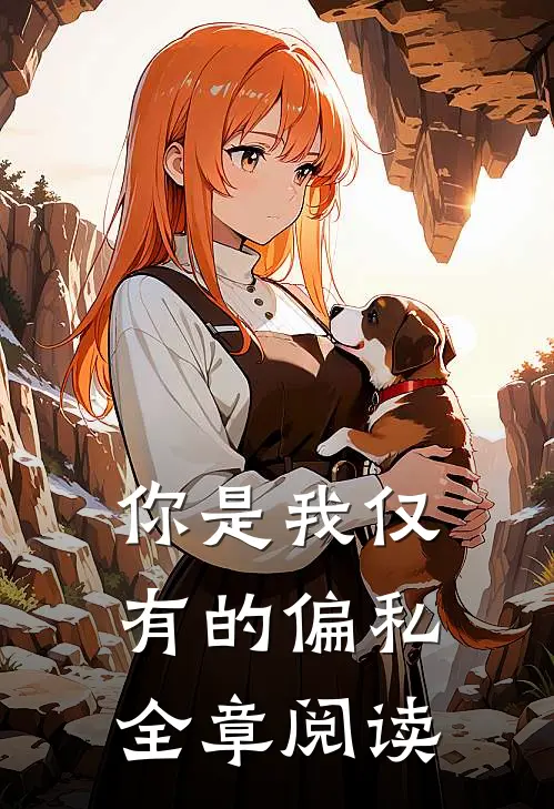 你是我仅有的偏私全章阅读