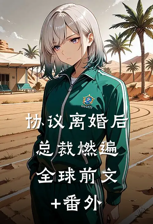 协议离婚后，总裁燃遍全球前文+番外