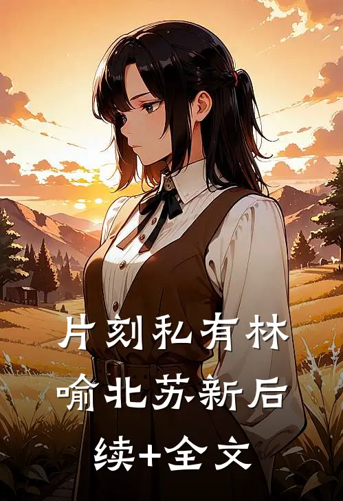 片刻私有林喻北苏新后续+全文