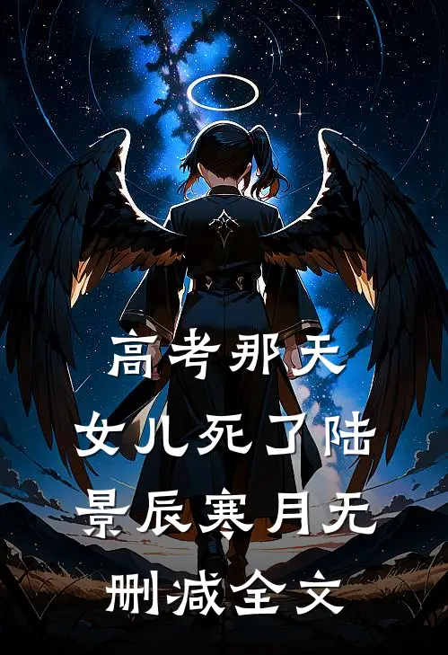 高考那天，女儿死了陆景辰寒月无删减全文